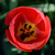 Image-square_50