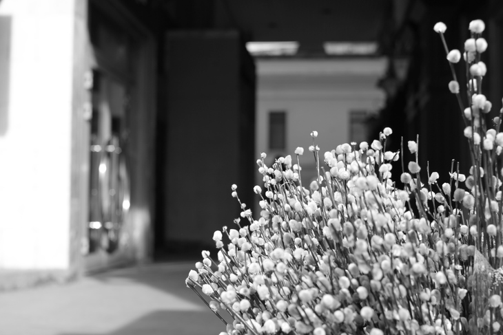 Image-normal
