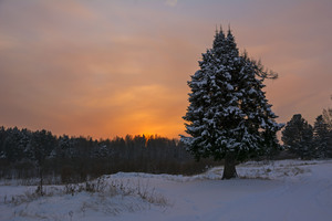 Image-preview_300x200