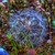 Image-square_50