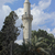 Image-square_50