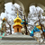 Image-square_50