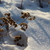 Image-square_50