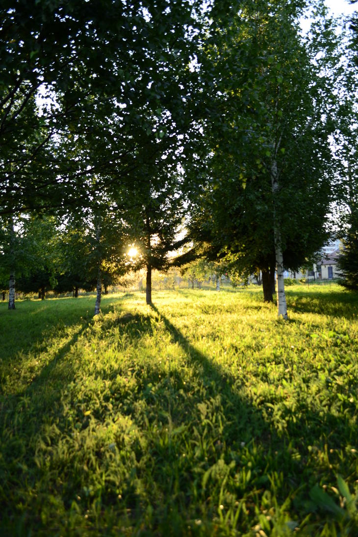 Image-normal