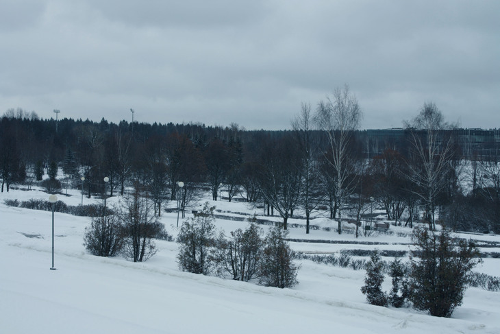 Image-normal