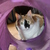 Image-square_50