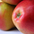Image-square_50