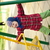 Image-square_50