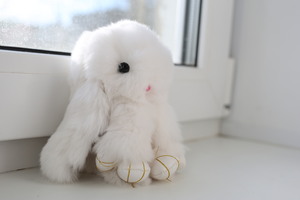 Image-preview_300x200