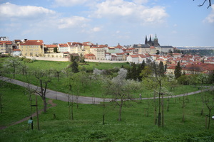Image-preview_300x200
