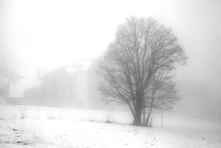 Image-normal