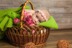 Image-preview_300x200
