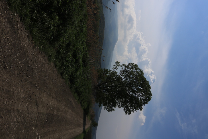 Image-normal