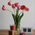 Image-square_50