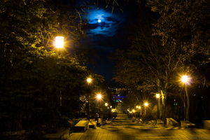 Image-preview_300x200