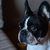 Image-square_50