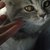 Image-square_50
