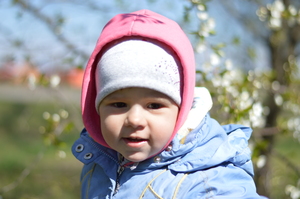 Image-preview_300x200