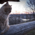 Image-square_50