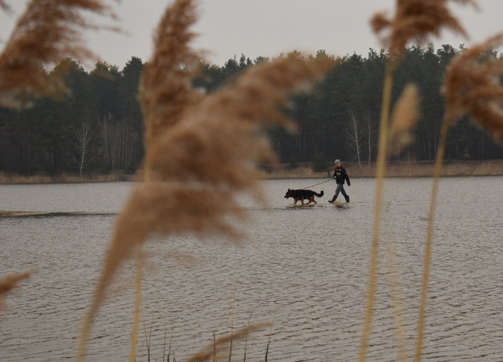 Image-normal