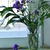 Image-square_50