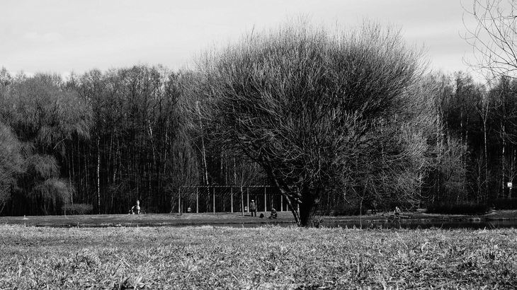 Image-normal