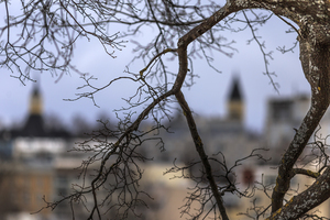Image-preview_300x200