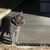 Image-square_50