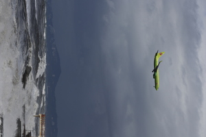 Image-preview_300x200