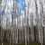 Image-square_50