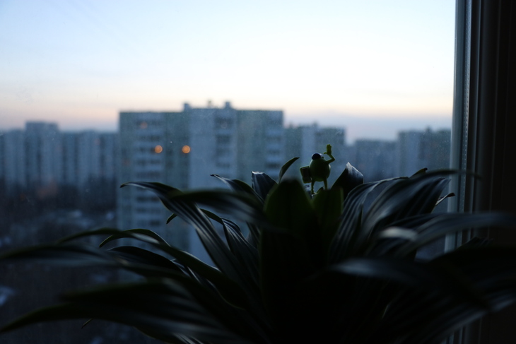 Image-normal