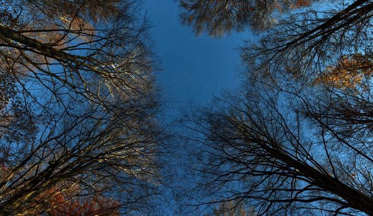 Image-normal