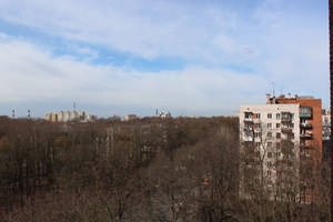 Image-preview_300x200