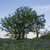 Image-square_50