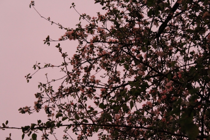 Image-normal