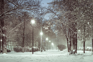 Image-preview_300x200