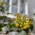 Image-square_50
