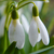 Image-square_50