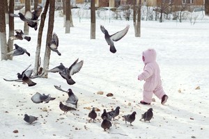 Image-preview_300x200