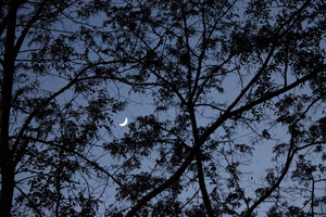 Image-preview_300x200