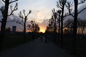 Image-preview_300x200