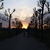 Image-square_50