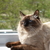 Image-square_50