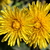 Image-square_50