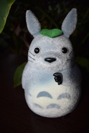 Image-preview_300x200