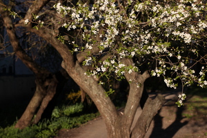Image-preview_300x200