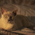 Image-square_50