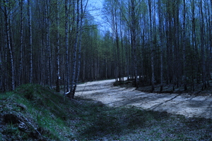 Image-preview_300x200