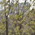 Image-square_50