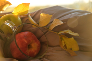Image-preview_300x200